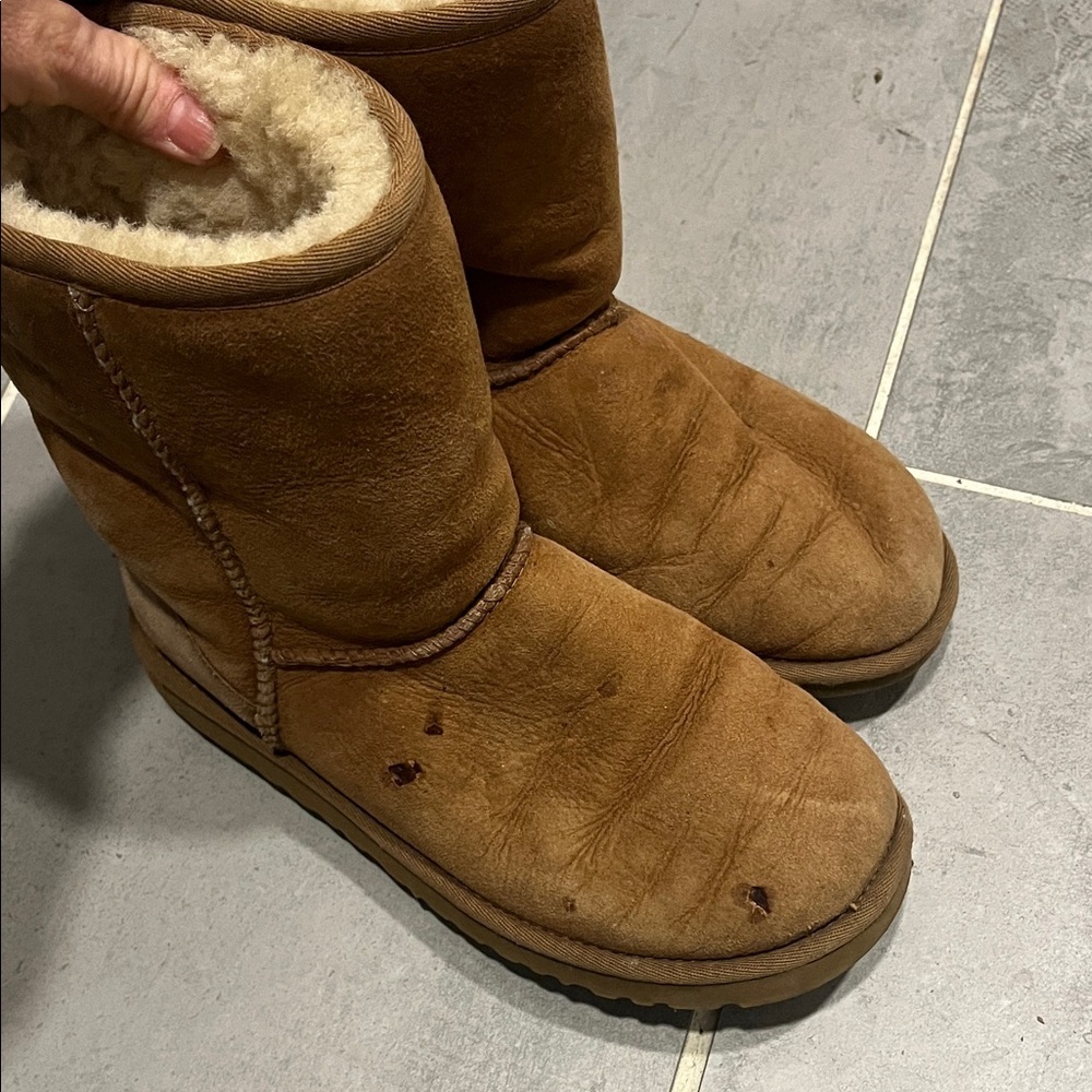 Ugg boots